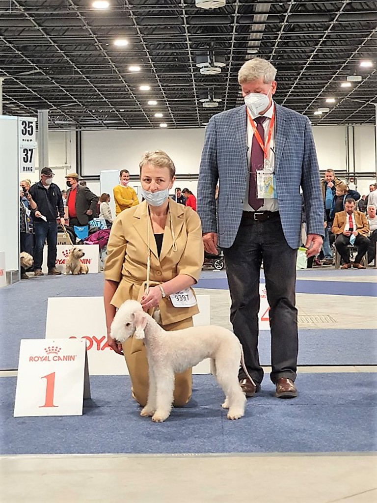 Euro Dog Show 2021 Budapest L'end Show Mademoiselle Gold 01