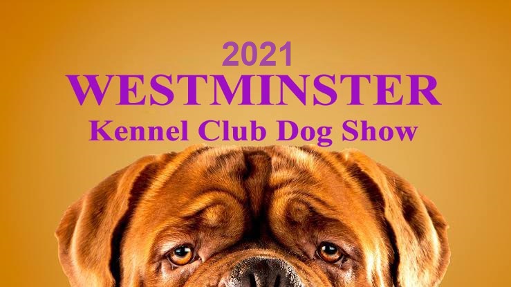 Westminsterdogshow2021 Logo