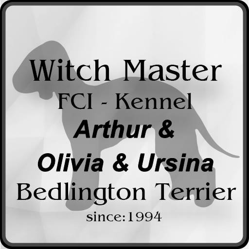 Witch Master