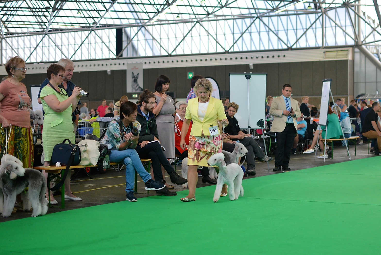 World Dog Show 2018 L'End Show Mikado King Of The Ring 2