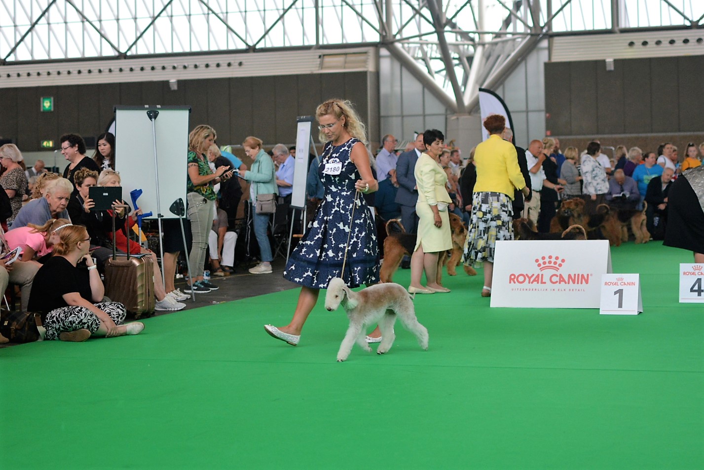 World Dog Show 2018 Isotop's Famous Icon