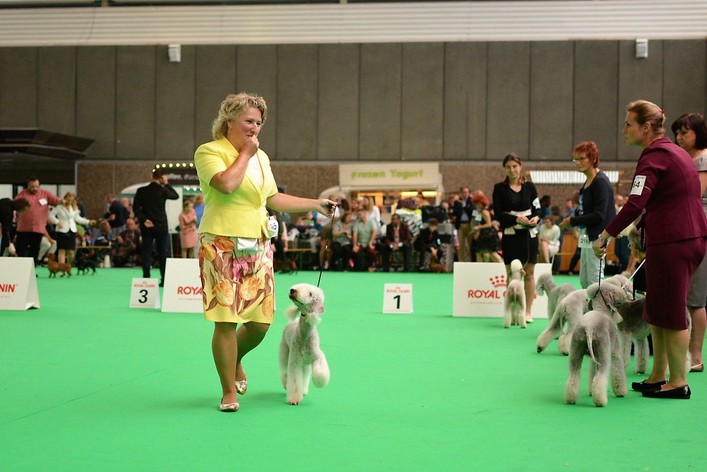 World Dog Show 2018 L'End Show Mett iSurprise At Glare 2