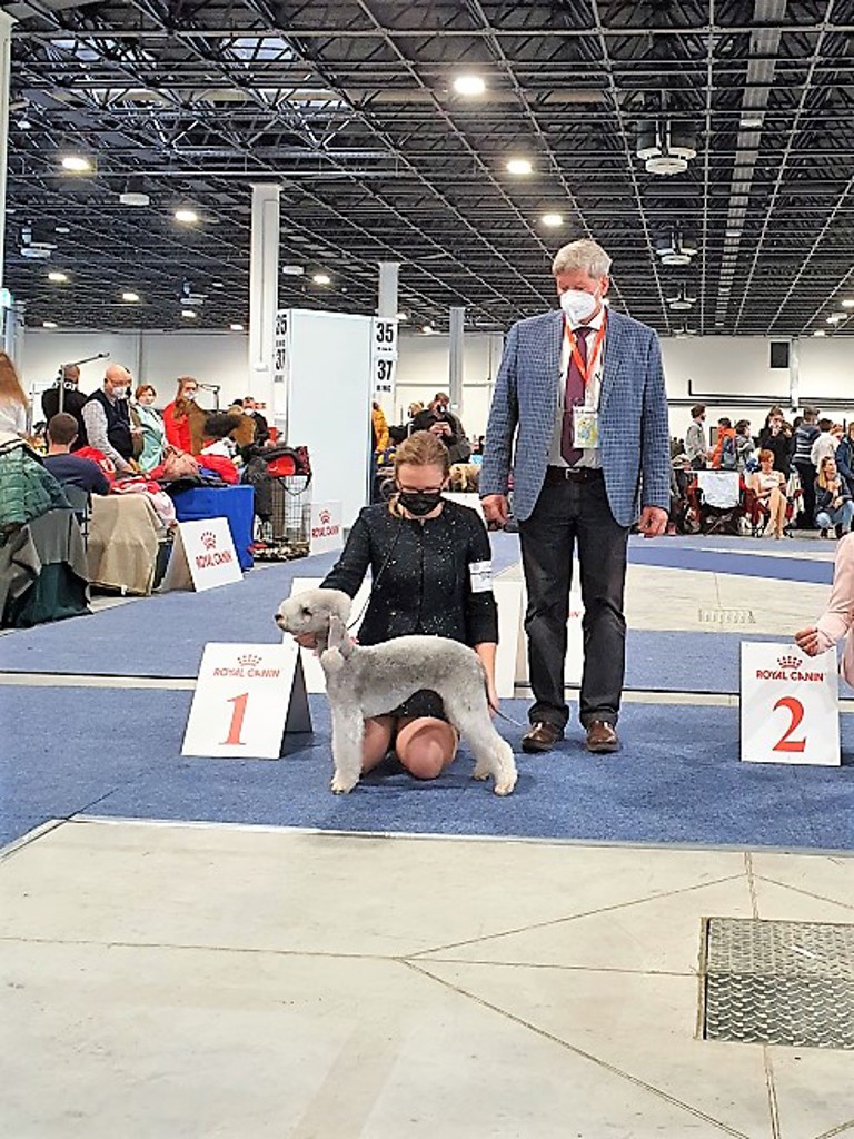 Euro Dog Show 2021 Budapest Isotop's Kotte 01