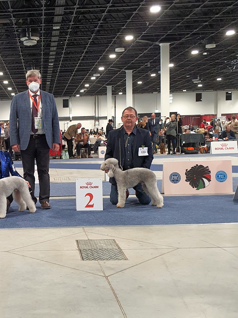 Euro Dog Show 2021 Budapest Notice Practice Makes Perfect 02