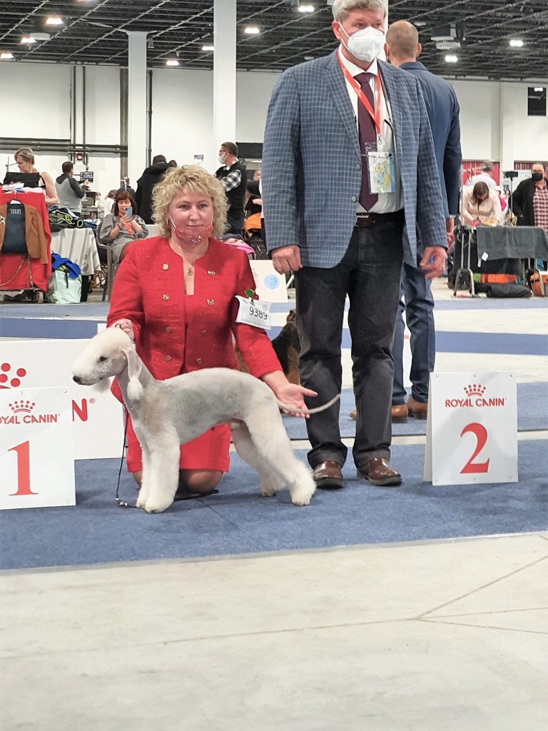 Euro Dog Show 2021 Budapest L'end Show Masterpiece For All Times 03