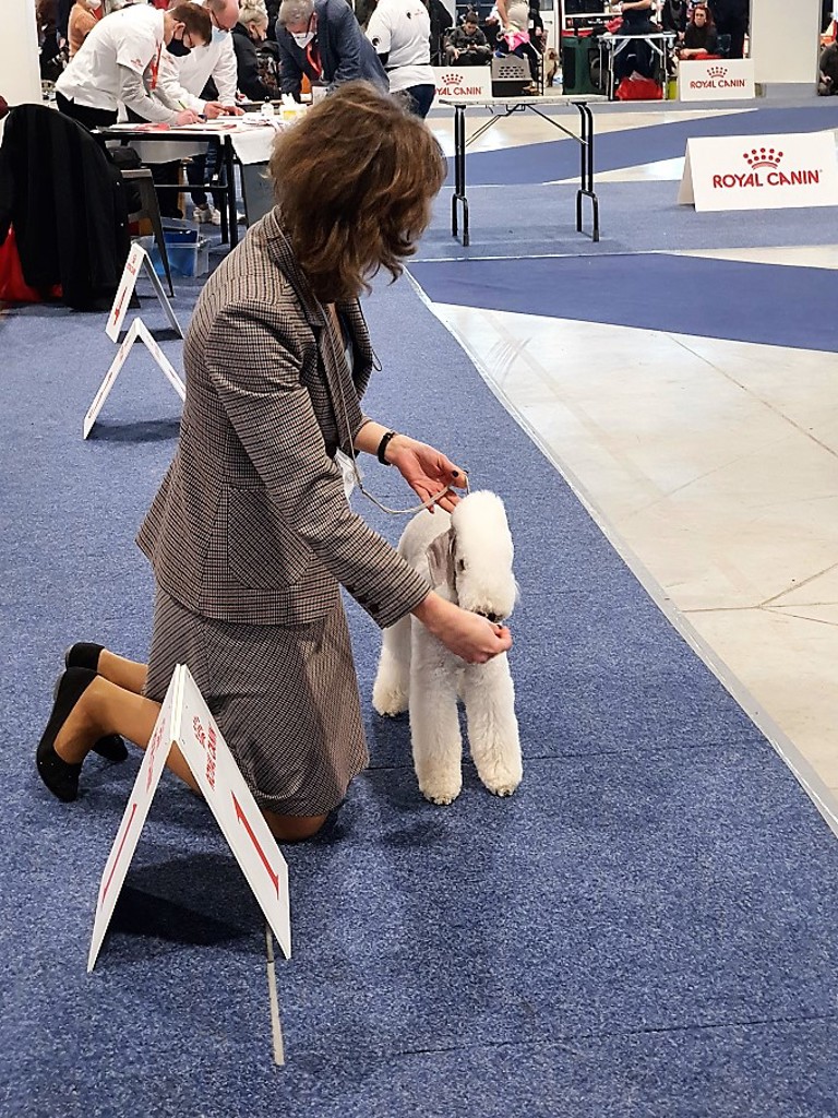 Euro Dog Show 2021 Budapest L'end Show Martin Maison Margiela 01